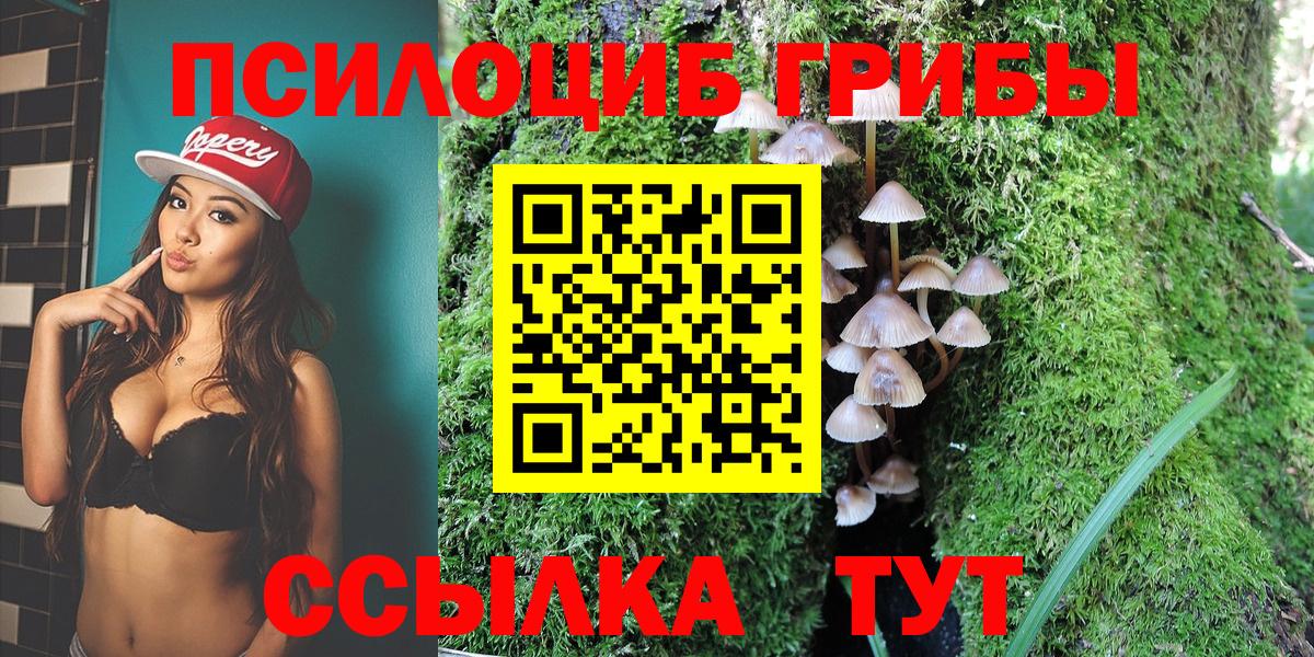 Псилоцибиновые грибы прущие грибы  Вход с VPN  Малгобек 