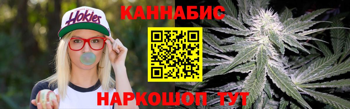 Бошки Шишки планчик  Вход с VPN  Малгобек  Марихуана сатива 
